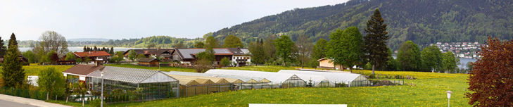 Blick nach NO zum Bauernhof des Vermieters im Hintergrund.